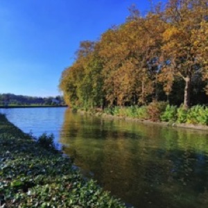 Du ciel bleu à Lille (‼️) = couleurs d'automne sur l'architecture, les arbres et @mai_lv